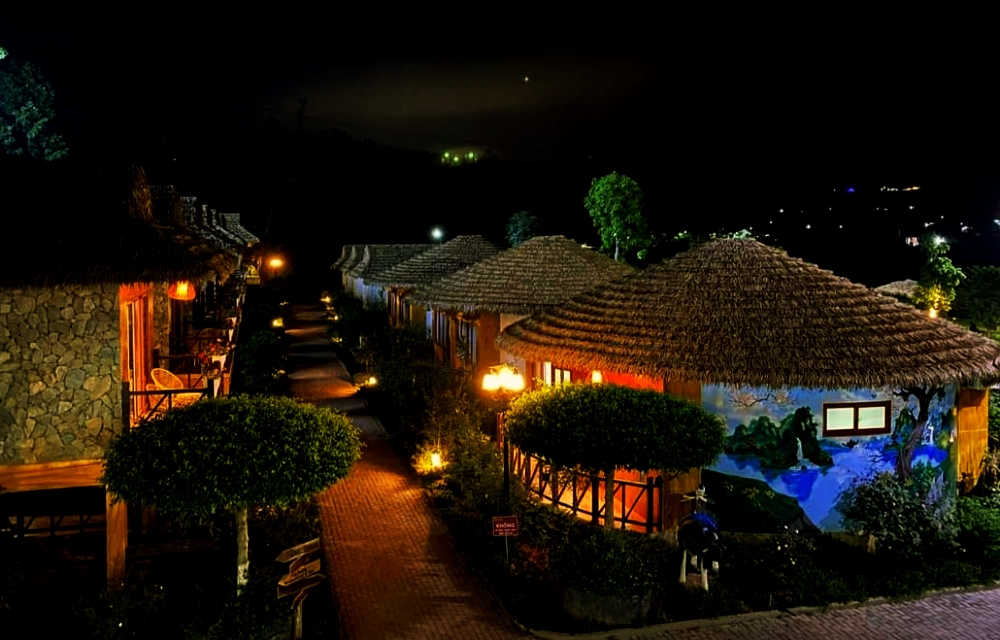 Tổng quan